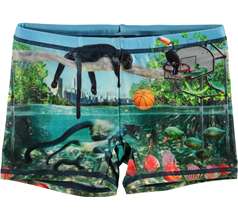 Norton Placed Swimwear
